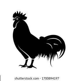 vector chicken cock isolated on white background