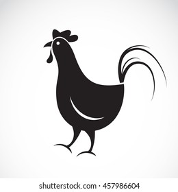 Vector of chicken design on white background.