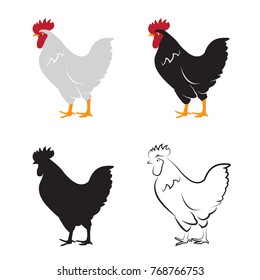 Vector of chicken design on white background. Hen. Farm Animals. 