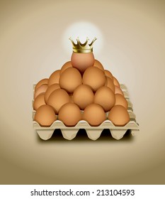 Vector of chicken egg in panel eggs