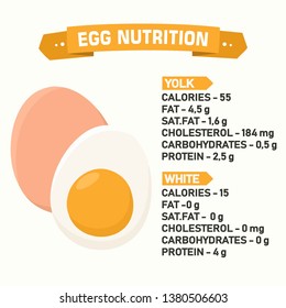 Vector chicken eggs nutrition poster. Illustration of eggs in flat minimalism style.