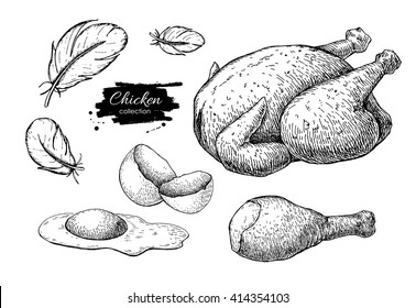 200 Chicken Skin Drawing Illustrations RoyaltyFree Vector Graphics   Clip Art  iStock