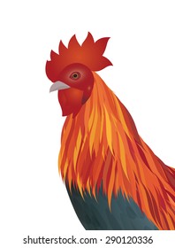 vector of chicken head on white background