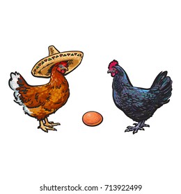 vector chicken hen brown egg, dark blue chicken and brown chicken in sombrero sketch set isolated. Illustration on a white background