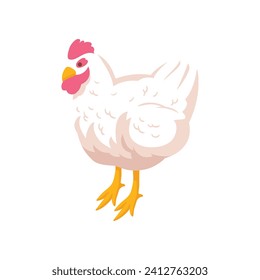 Vector chicken illustration on white background.