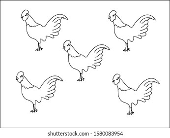 vector chicken isolated on white background.