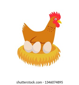 Vector chicken in the nest with eggs