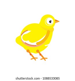 Vector chicken on white background. Yellow chicken vector illustration