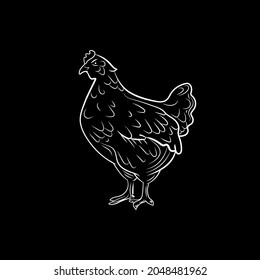 Vector chicken outline chalk drawn sketch isolated on black board background, white lines, illustration template, farm animal.