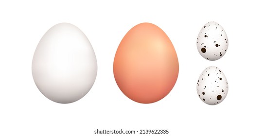 Vektor-Hühner und Wachteleier einzeln, 3D-realistische Vektorsymbol-Eier auf weißem Hintergrund, biologisch gekochtes Naturfutterset, Protein, Osterprodukt, gesundes Frühstück