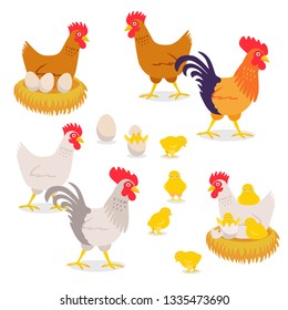 Vector chicken rooster egg nests set