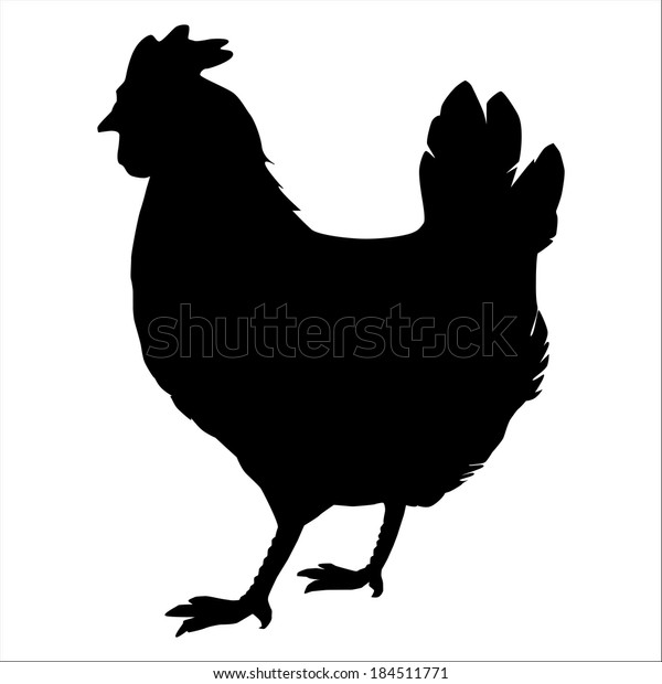 Vector Chicken Silhouette Stock Vector Royalty Free 184511771 2189