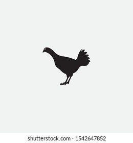 vector chicken silhouette isolated on white background