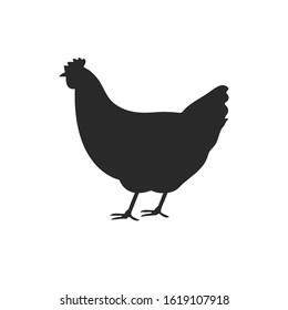 vector chicken silhouette isolated on white background