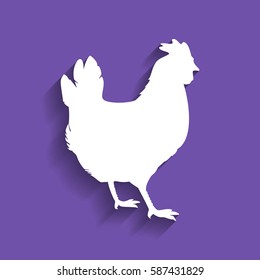 vector chicken silhouette. Vector. White icon with soft shadow on grape violet background.