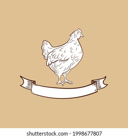 Vector Chicken sketch with vintage banner, retro style emblem template, engraving drawing.
