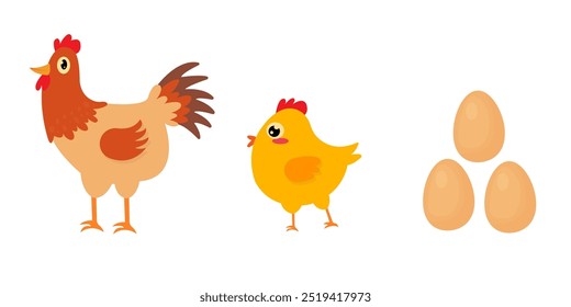 vector of the chicken's life cycle which originates from the egg and grows to the chick and adult chicken. flat cartoon design.