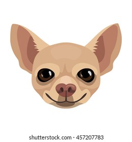 Vector chihuahua dog face portrait icon