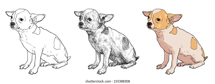 The vector of chihuahua on sitting pose