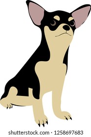 Vector Chihuahua Puppy, Cute Dog