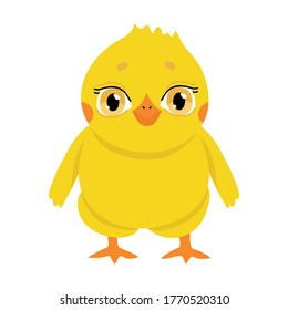 Vector children's illustration of a cute chicken. Flat style. Isolated on a white background.
