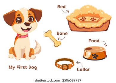 Infografía infantil Vector. Perro de estilo de dibujos animados con hueso, plato de comida, cama de perro y collar. 