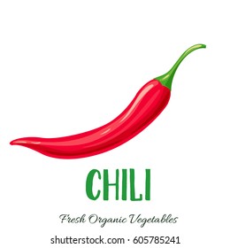 Vector chili . Vegetable illustration for farm market menu. Healthy food design