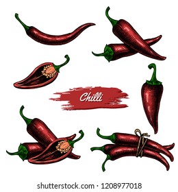 Vector chilli hand drawn sketch. Sketch vector  food illustration. Vintage style