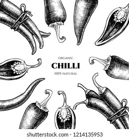 Vector chilli hand drawn sketch. Sketch vector  food illustration. Vintage style