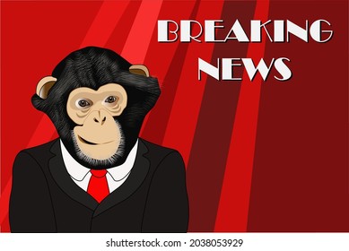A vector of a chimpanzee becoming a newsreader