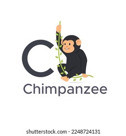Vector Chimpanzee illustration, Letter C learning English alphabet cartoon for kids education isolated on white background
