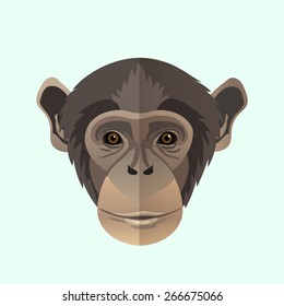 Vector chimpanzee portrait.