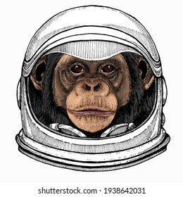 Vector chimpanzee portrait. Ape head, monkey face. Astronaut animal. Vector portrait. Cosmos and Spaceman. Space illustration about travel to the moon. Funny science hand drawn illustration.