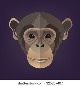 Vector chimpanzee portrait on purple background
,