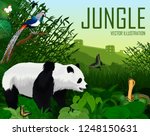 Vector china jungle forest with giant panda bear, cobra and diamond lady amherst's pheasant