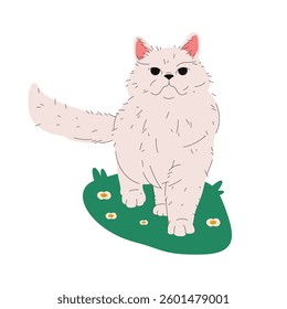 Vector chinchilla cat or traditional persian kitty with white coat. Classical kitten breed. Cartoon pussycat or puss clipart. Purebred catling or domestic feline animal. Puss breeding. Chinnie fauna.