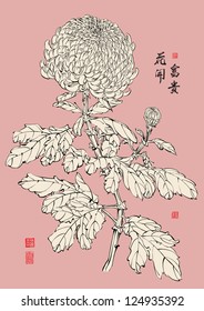 Vector Chinese Chrysanthemum. Translation: The Blossom of Prosperity