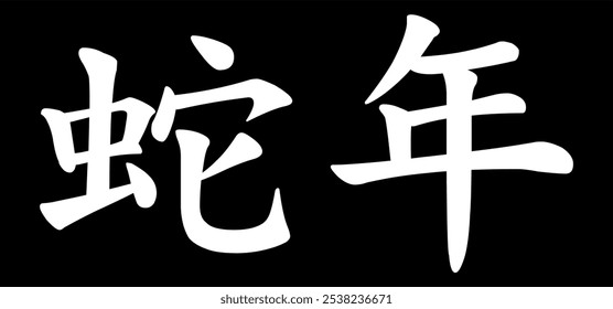 Vector chinese hieroglyph Snake Year.
Print for t-shirt, clothes, lettering on paper.
Isolated white character on black background
in eastern style.
Fashionable asian calligraphy tattoo design.