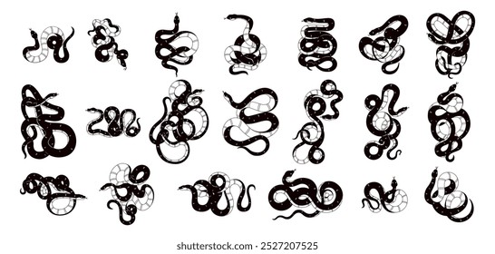 Ilustração de conjunto de desenhos animados de cobra do ano novo chinês vetor isolada