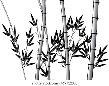 vector Chinese painting bamboo