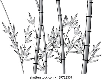 vector Chinese painting bamboo