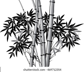 vector Chinese painting bamboo