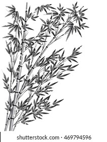 vector Chinese painting bamboo