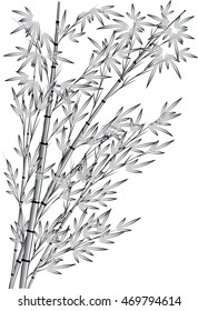 vector Chinese painting bamboo