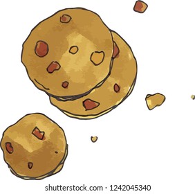 Vector chocolate cookies hand drawing food illustration