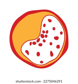 vector of cholesterol plaque illustratrion design