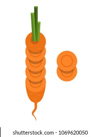 vector chopped carrot isolated - healthy vegetable, nutrition icon - vegetarian food, vector flat carrot