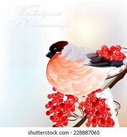 Vector Christmas background with bird and rowan in retro style
