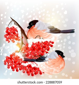 Vector Christmas background with birds and rowan in retro style