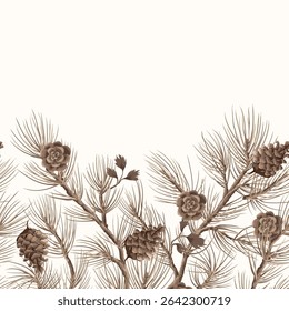 Vector Christmas border  with pine branches and cones. Vector